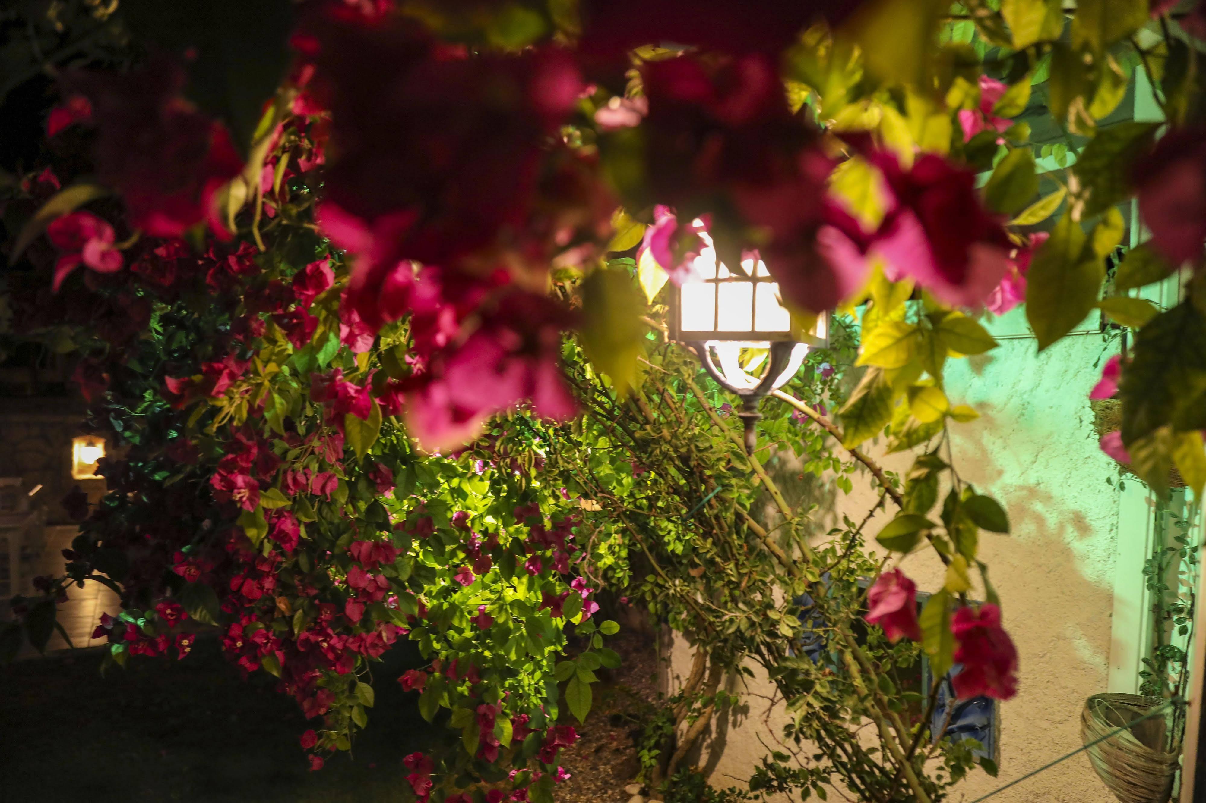 Sari Gelin Alacati Hotel Exterior foto